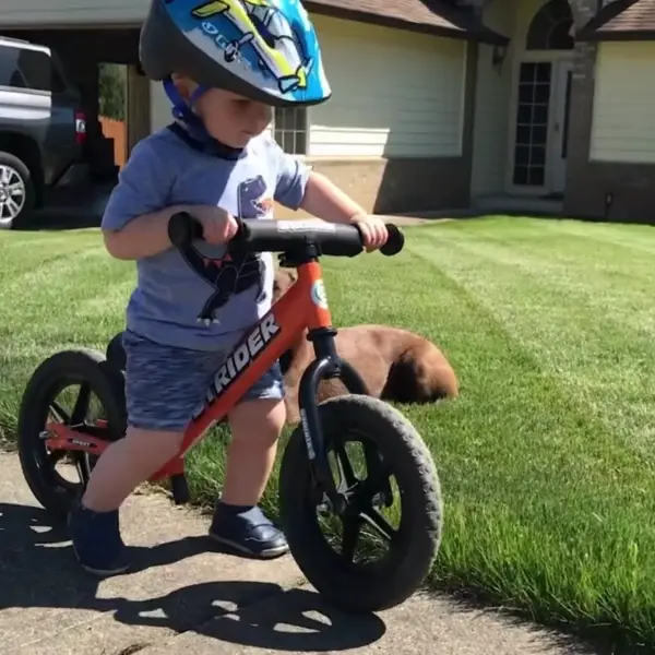 kids riding a strider balance bike without pedals for toddlers