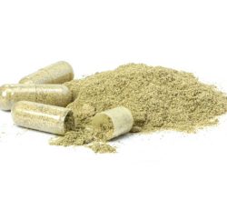 Discover the Best Kratom Brands for Quality and Effectiveness